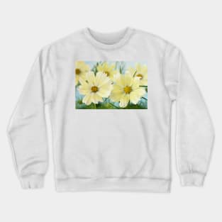 Cosmos bipinnatus  &#39;Lemonade&#39;  Cosmea  Mexican aster Crewneck Sweatshirt